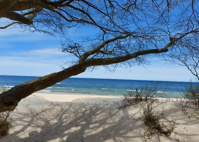 Westin House 215 Apartment